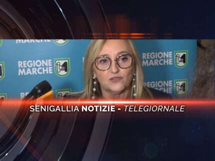 senigallia notizie telegiornale