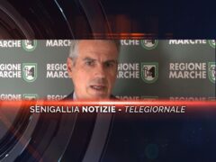 senigallia notizie telegiornale