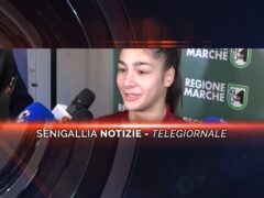 senigallia notizie telegiornale