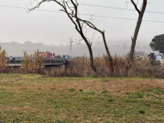 Incidente sulla strada Corinaldese a Passo Ripe di Trecastelli Incidente sulla strada Corinaldese a Passo Ripe di Trecastelli