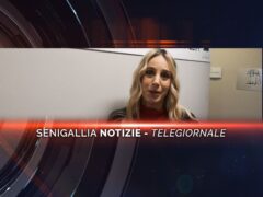 senigallia notizie telegiornale