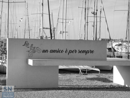 Un Amico... - Foto Simone Secondini