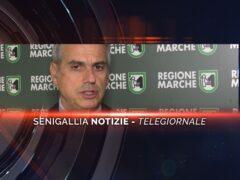 senigallia notizie telegiornale