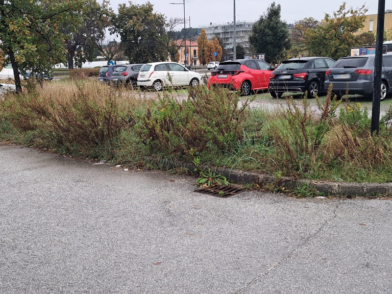 Incuria e sporcizia in via Abbagnano