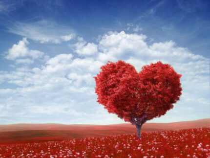 Amore, San Valentino, 14 febbraio