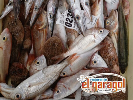 Pesce fresco del Ristorante El Garagol di Marotta
