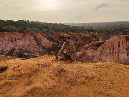 Uno scorcio dal Kenya