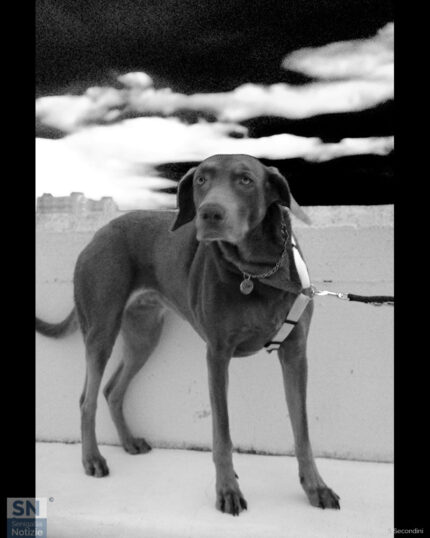 Zoe al porto - Foto Simone Secondini