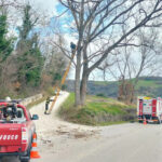 Vigili del Fuoco di Arcevia in azione a Montecarotto per taglio rami pericolanti
