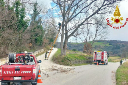 Vigili del Fuoco di Arcevia in azione a Montecarotto per taglio rami pericolanti
