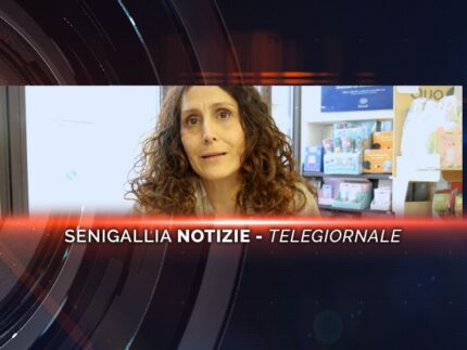 senigallia notizie telegiornale