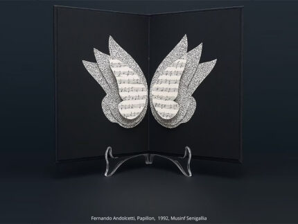 Fernando Andolcetti, Papillon