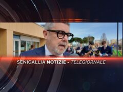 senigallia notizie telegiornale