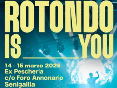 Rotondo is you