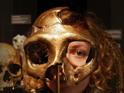 Chi credi di essere? Un viaggio con i nostri antenati – a cura del prof. Roberto Macchiarelli