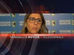 senigallia notizie telegiornale