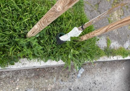 Degrado via Feltrini