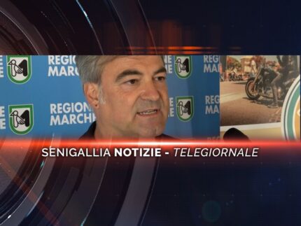 senigallia notizie telegiornale