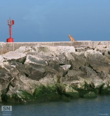 Un faro... da ammirare - Foto Simone Secondini