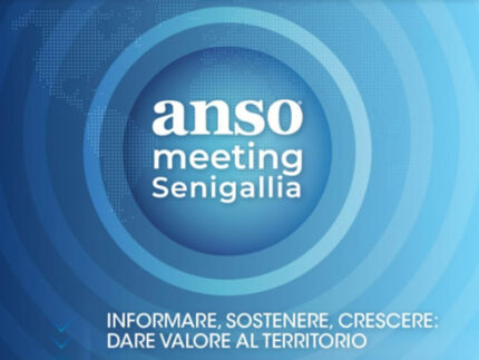 Anso Meeting Senigallia