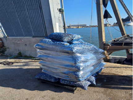 Vongole sequestrate dalla Guardia Costiera