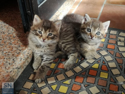 Lui e lei - Foto Marta Barzetti