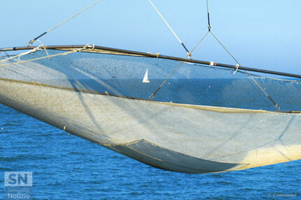 Una foto del Mar - Foto Claudio Cremonesi