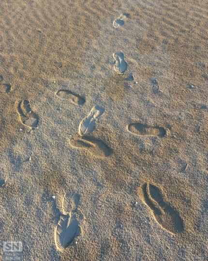 Per dove? - Foto Antonella Starna