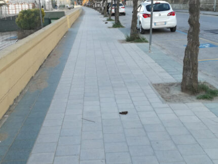 Escrementi canini lasciati sul lungomare Mameli di Senigallia