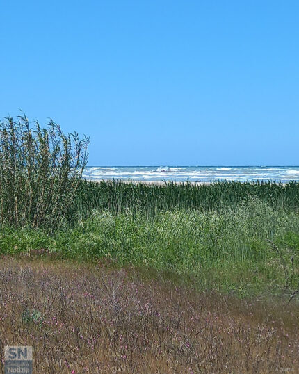 Panorama costiero - Foto Antonella Starna