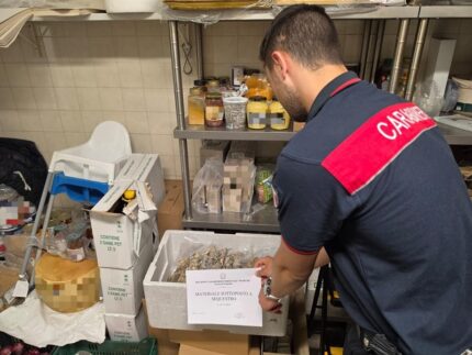 Tartufo sequestrato dai Carabinieri