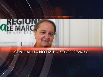 senigallia notizie telegiornale
