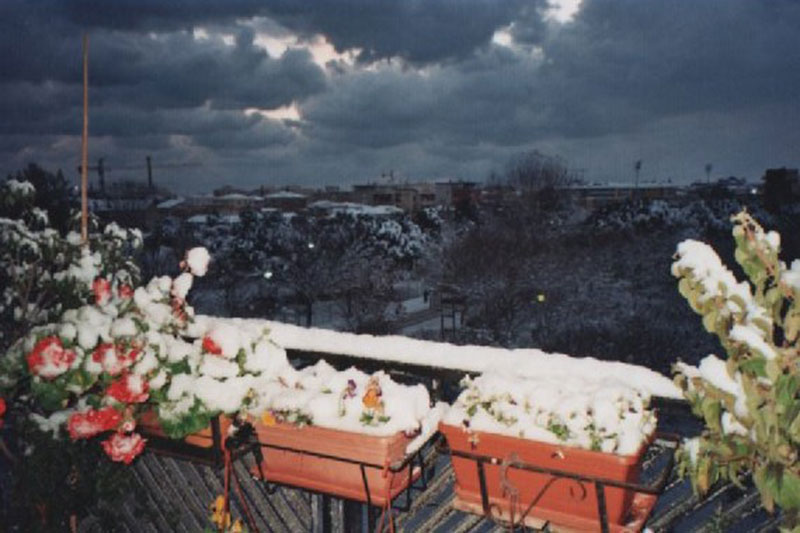 1. Senigallia, 16 dicembre 2010. Balcone con vasi di fiori innevati. A sinistra la ciminiera dell’Italcementi e sullo sfondo un pioppo (Gabriella Piangerelli)