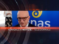 senigallia notizie telegiornale