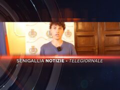 senigallia notizie telegiornale