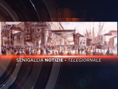 senigallia notizie telegiornale