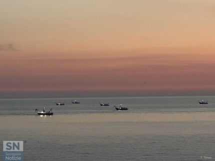 Flotta di vongolai all'alba - Foto Fabrizio Tesei