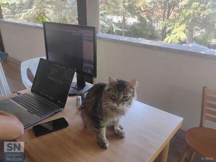 Lavorare in smart working - Foto Giancarlo Rossi