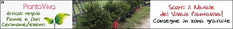 Vivaio Piantaviva Senigallia - Scopri il Natale - Piante e fiori, addobbi floreali, composizioni