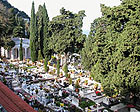 Cipressi al cimitero
