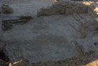 Area Archeologica Suasa