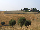 Campagna ostrense - terreno agricolo