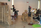 Festa del Libro a Ripe