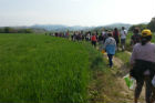 Passeggiata naturalistica a Serra de' Conti il 25 aprile