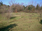 Area del Bosco urbano - Ostra Vetere