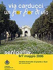 un fior fior di via - via Carducci