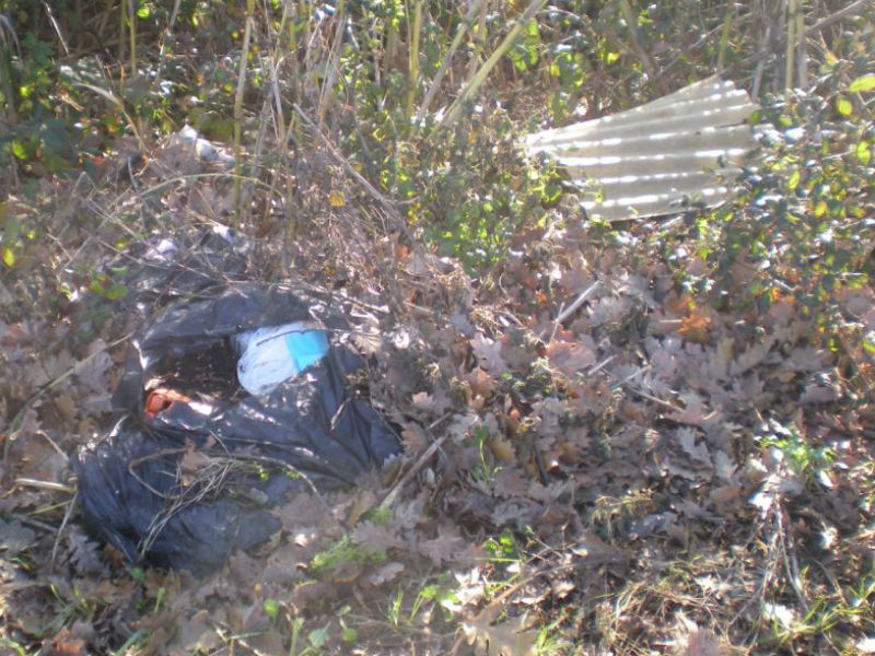 Rifiuti abbandonati in strada a Trecastelli